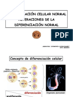 Diferenciacion Celular