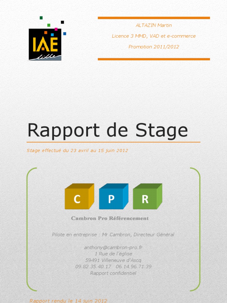 Rapport De Stage Licence 3 Pdf Google Moteur De Recherche