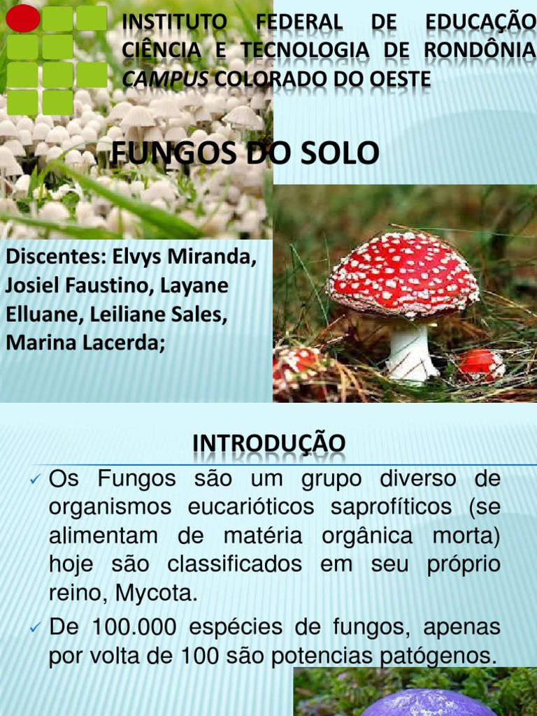 Fungos do Solo: Estruturas e Funções | PDF | Fungo | Microrganismo