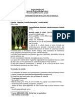 Inteligencia de Mercado de La Cebolla 2 PDF