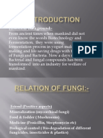 Fungal Food Brewry Products