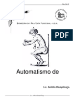 Automatismo de Fondo