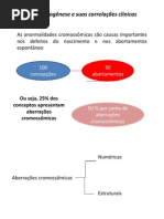 aula_2___Gametogenese_e_aberracoes.ppt