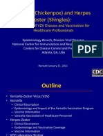 VZV Clinical Slideset Jul2010