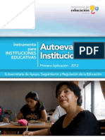 11. Autoevaluación Institucional_Instrumento Instituciones