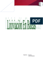 Lixiviación en Batea