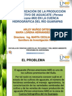 Diapositivas Aguacate Enero 2013 PDF