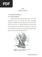 Download Chapter II Limfadenopatipdf by Desi Ayu Kristiani Pwyllchrestella SN138302210 doc pdf