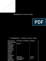 Metabolism of Amino Acids