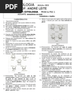 Aval 1 Ano Macronutrientescarboidratos