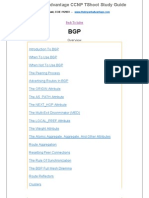 10 Troubleshooting BGP