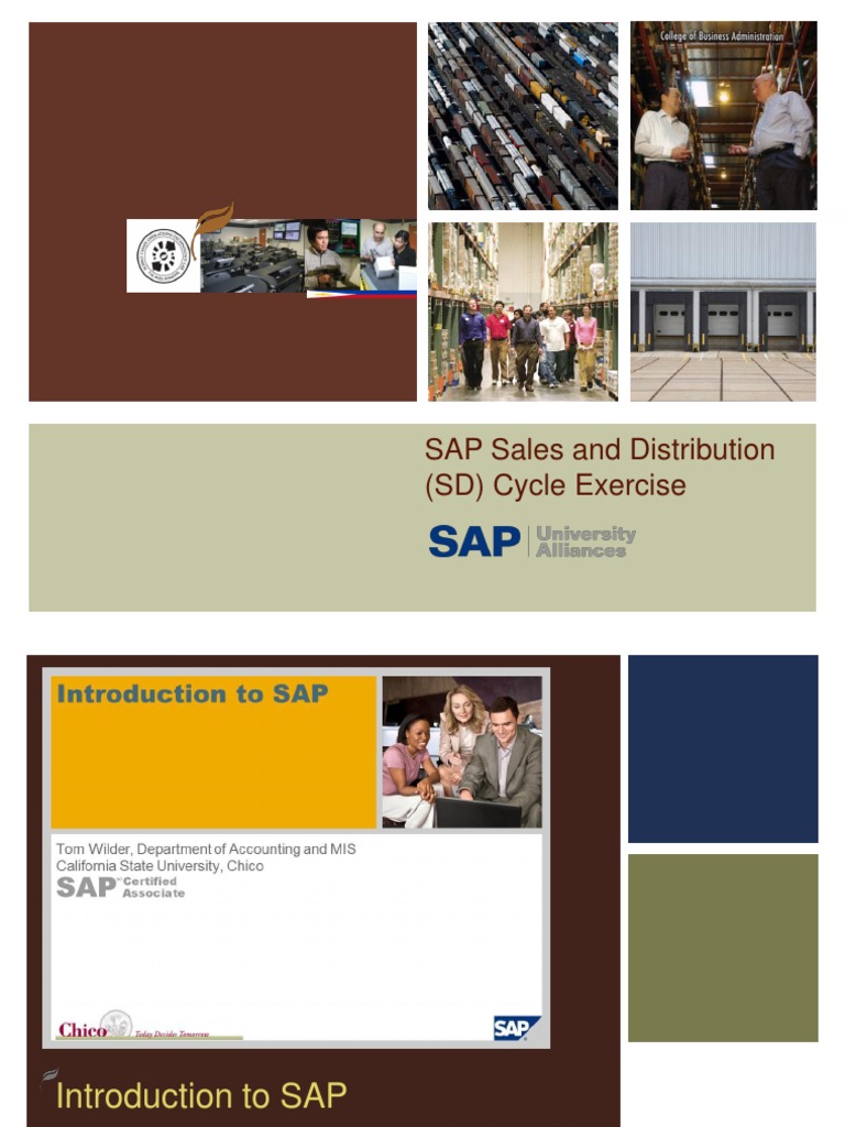 Sap Sales And Distribution Exercise Pdf