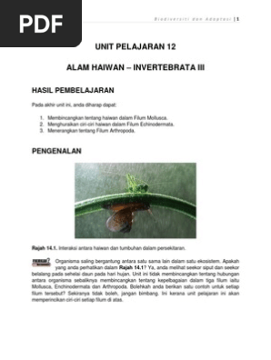 Unit 12 Alam Haiwan Invertebrata Iii Pdf