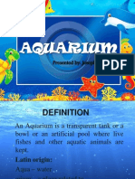 Aquarium - Seminar