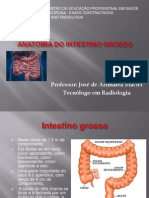 Aula Intestino Grosso Premen Sul