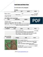 Food Web Cloze