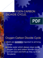 Oxygen-Carbon Cycle