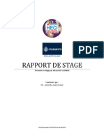 Rapport de Stage "piz