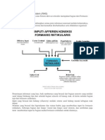 Reticular Activating System