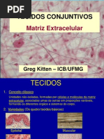 08 Aa Conjuntivos - MEC GK 10-2012