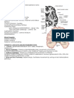 Blood Supply To The Subthalamus