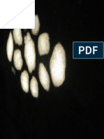 Light Steps - PGR PDF