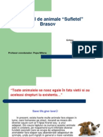 Adapostul de Animale