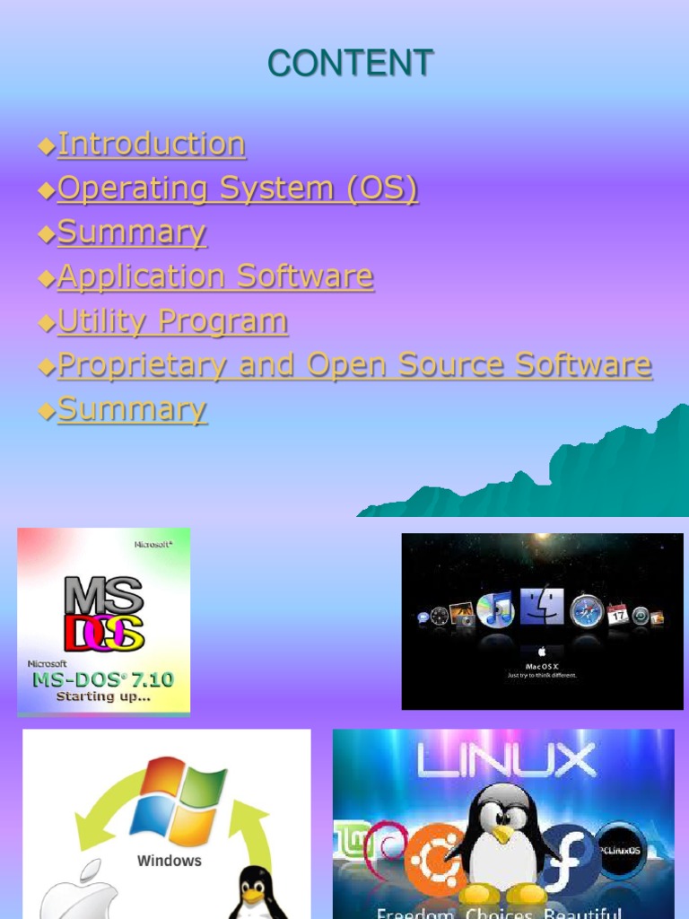 Content: Operating System (OS) Application Software Utility Program ...