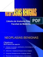 neoplasiasbenignas-101007221109-phpapp02