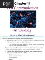 AP Bio Ch. 11 Cell Communication