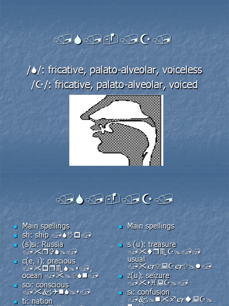 S/ Fricative, PalatoAlveolar, Voiceless /Z/ Fricative, Palato