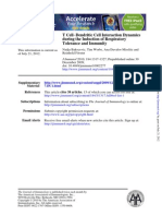 During The Induction of Respiratory Dendritic Cell Interaction Dynamics T Cell