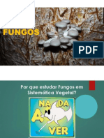 Aula Fungos