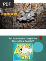 Aula Fungos