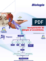 Fotosíntesis y factores que afectan el proceso