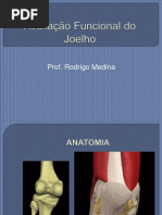 Aula 9 - Avaliação Funcional de Joelho, Tornozelo e Pé