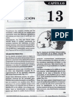 capitulo 13 de neuro By Jau.pdf