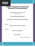 La Produccion de Textos Escritos