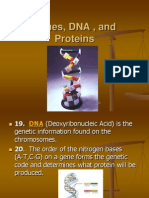 Genes Dna and Proteins Pats