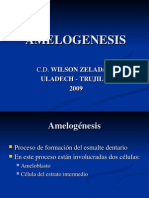 Amelogenesis