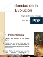 Evidencias de la Evolución