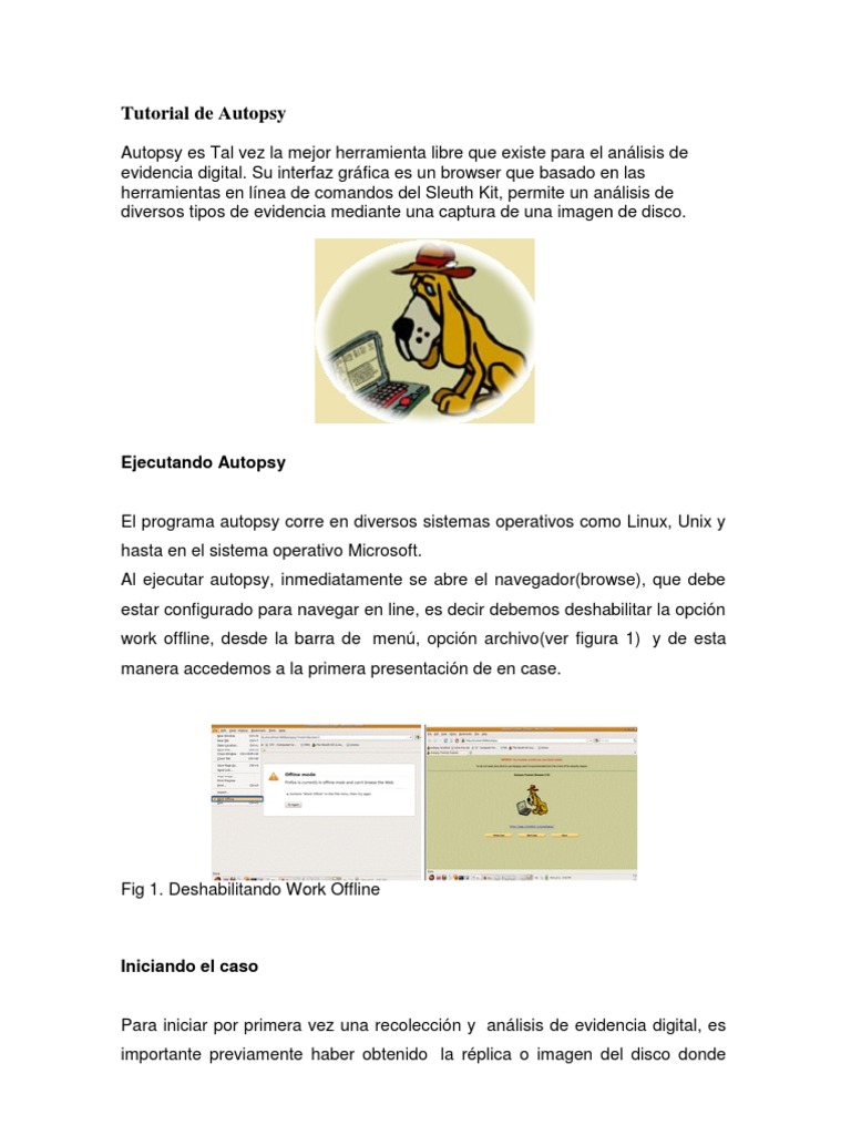 Tutorial de Autopsy: Análisis Digital | PDF | Archivo de computadora ...
