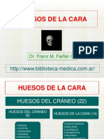 HUESOS DE LA CARA.pdf