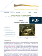 Rad 1 PDF