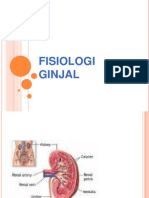 fisiologginjal presentasi