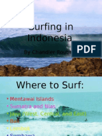 Surfing in Indonesia