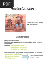 Ancilostom Ase.aula4