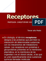 Receptor Es