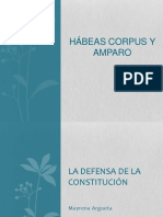 El Hábeas Corpues y el Amparo