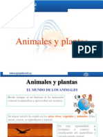 Animales y Vegetales-Criterios de Clasificación